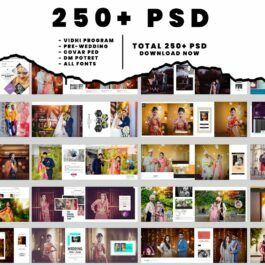 200+ Wedding Psd Pack | W04