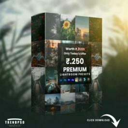 Premium Lightroom Presets