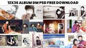 Read more about the article Canvera Album Design 12×36 Psd Free Download