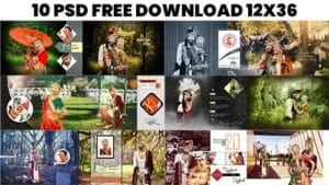 Read more about the article Wedding Album Psd Free Download 12×36 2024