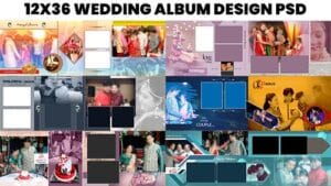 Read more about the article Karizma Album Background PSD | Free Wedding Album Design PSD