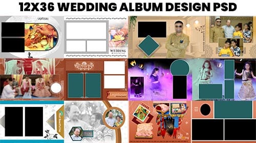 Read more about the article Creative Album 12×36 PSD Free Download | Wedding Design Templates