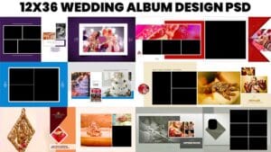 Read more about the article Karizma 12×36 Wedding Album Backgrounds PSD Free Download