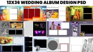 Read more about the article 12×36 Wedding Album Cover PSD Free Download HD Quality