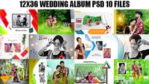 Read more about the article Free Wedding Album PSD Templates 12×36 Download [2025 Collection]