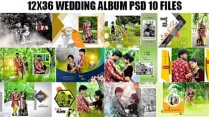 Read more about the article 10000+ 12×36 Wedding Album PSD Free Download – Latest 2025 Designs