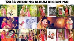 Read more about the article 10000+ Wedding PSD Free Download 12×36 (DM PSD) – Ultimate Album Background Pack