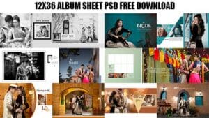 Read more about the article Karizma Wedding Album Background & PSD Free Download 12×36