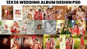 Read more about the article Album PSD Free Download (12×36 DM) – Latest Indian Wedding Album Designs