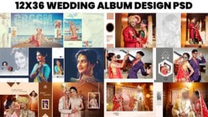 Read more about the article Top 100+ 12×36 DM PSD Free Download 2025 – Indian Wedding Album PSD Collection