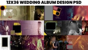 Read more about the article Free Download 12×36 Album PSD Templates Indian Wedding DM PSD Designs