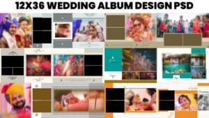 Read more about the article High-Resolution Karizma Album Background PSDs